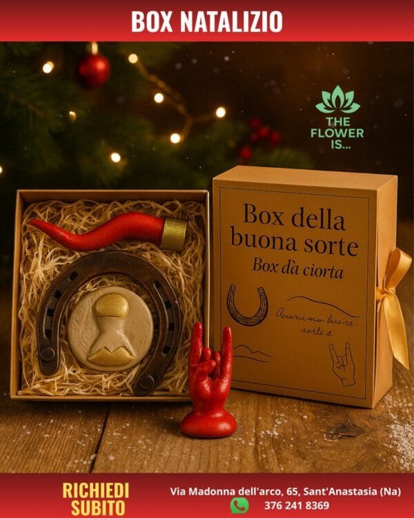 BOX DELLA BUONA SORTE